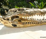small Crocodile skull solid brass large heavy decoration hand made 230mm statue head jaw teethsmall Crocodile skull solid brass large heavy decoration hand made 230mm statue head jaw teeth