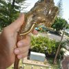 elephant DOOR handle pull solid brass hollow old vintage style look 13" aged