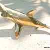 Small 7 " GREAT WHITE SHARK BRASS statue display vintage style POLISHED heavy