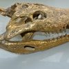 large Crocodile skull solid brass large heavy decoration stunning hand made 50cm
