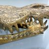 large Crocodile skull solid brass large heavy decoration stunning hand made 50cm