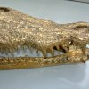 large Crocodile skull solid brass large heavy decoration stunning hand made 50cm
