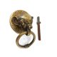 6 heavy ELEPHANT pulls handles antique solid brass vintage drawer knobs ring 2.1/4"