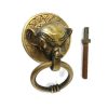 6 heavy ELEPHANT pulls handles antique solid brass vintage drawer knobs ring 2.1/4"