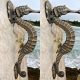 2 large SEAHORSE solid brass door old style house PULL handle 13" heavy aged
