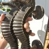 2 large thick SEAHORSE solid brass door old style heavy house PULL handle 15"