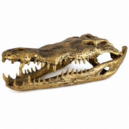 50 cm long Crocodile skull solid pure heavy brass large heavy decoration hand made large amazing statue