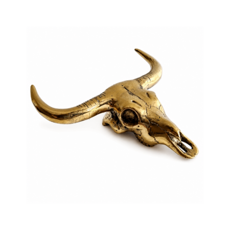 Small Buffalo Head Skull Solid Heavy Brass Wall Statue Horns Bull Cow Steer Decor 20cm