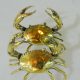 2 tiny small MUD CRAB solid brass polished brass claws claws blue swimmer 3" old looking statue hand made (Copy)