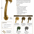 Heavy Brass Palm Tree Door Pull Handle – 16" Large version Rustic Vintage Style GRAB