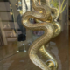 2 stunning back to back 14" inch long Small version RATTLE SNAKE gorgeous door handles pair heavy brass glass shower metal doors